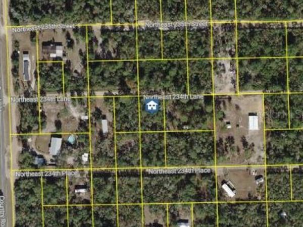 15350 NE 234TH LANE, FORT MC COY, FL 32134