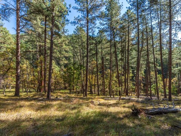 Lot 3 Old Hill City Road, Keystone, SD 57751
