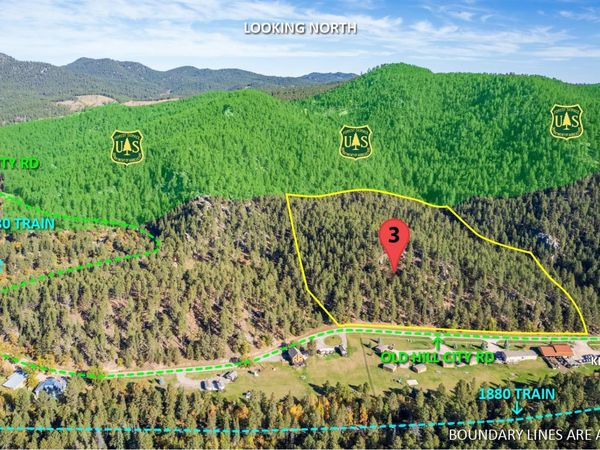 Lot 3 Old Hill City Road, Keystone, SD 57751