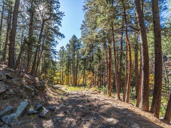 Lot 4 Old Hill City Road, Keystone, SD 57751