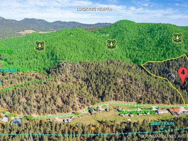 Lot 4 Old Hill City Road, Keystone, SD 57751