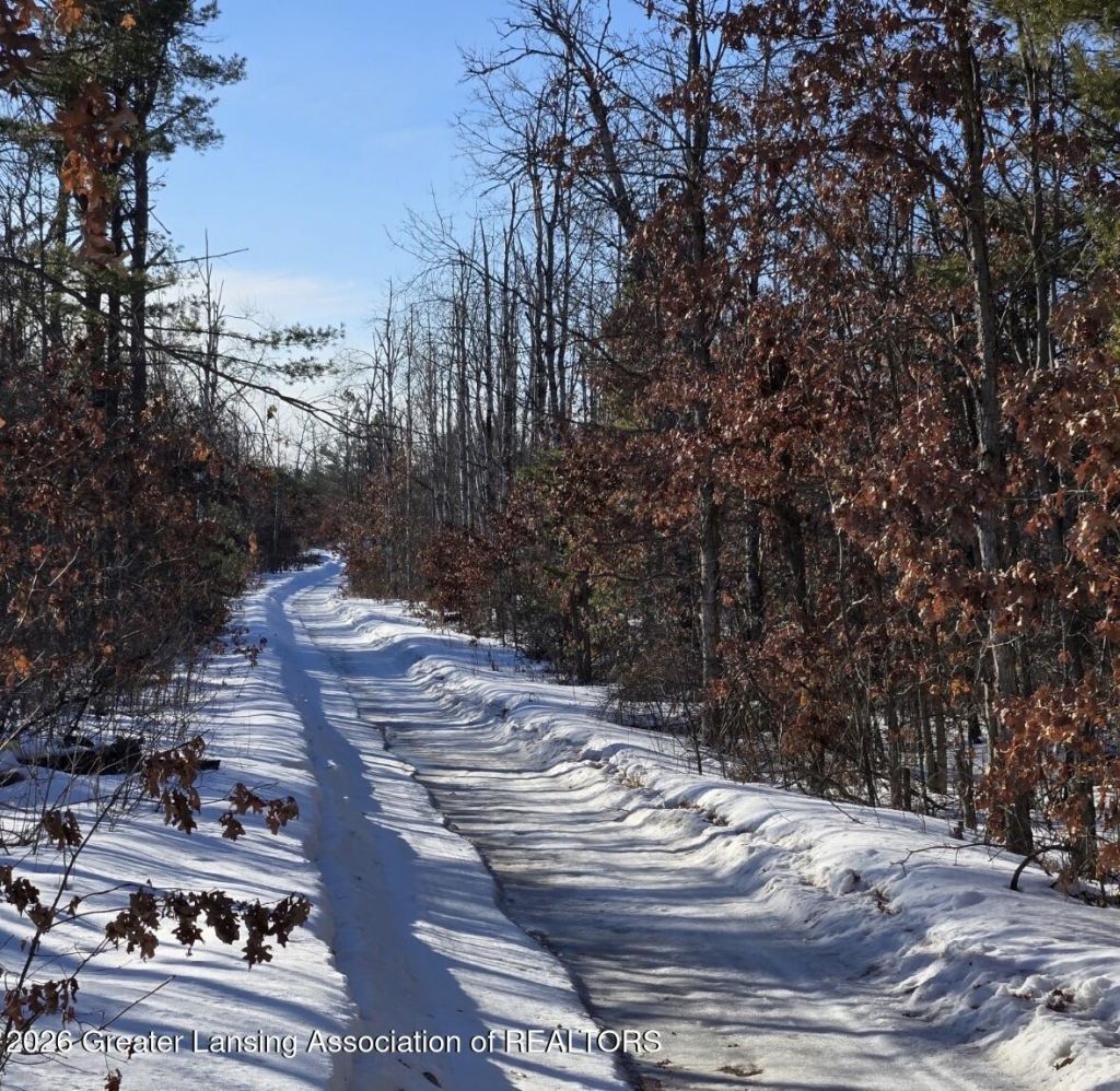 3668 Clinton Drive, Lewiston, MI 49756 Main Photo