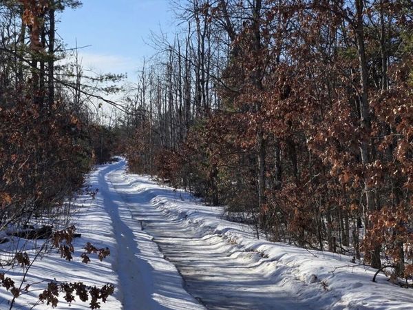 3668 Clinton Drive, Lewiston, MI 49756