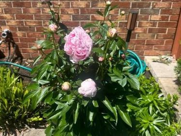 14289 WARRENTON ROAD, GOLDVEIN, VA 22720