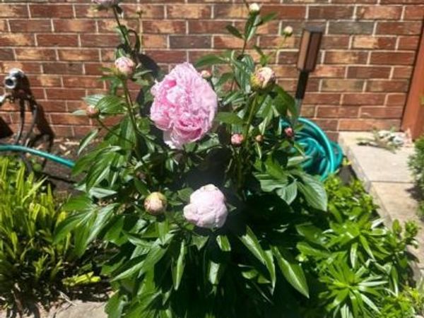 14289 WARRENTON ROAD, GOLDVEIN, VA 22720