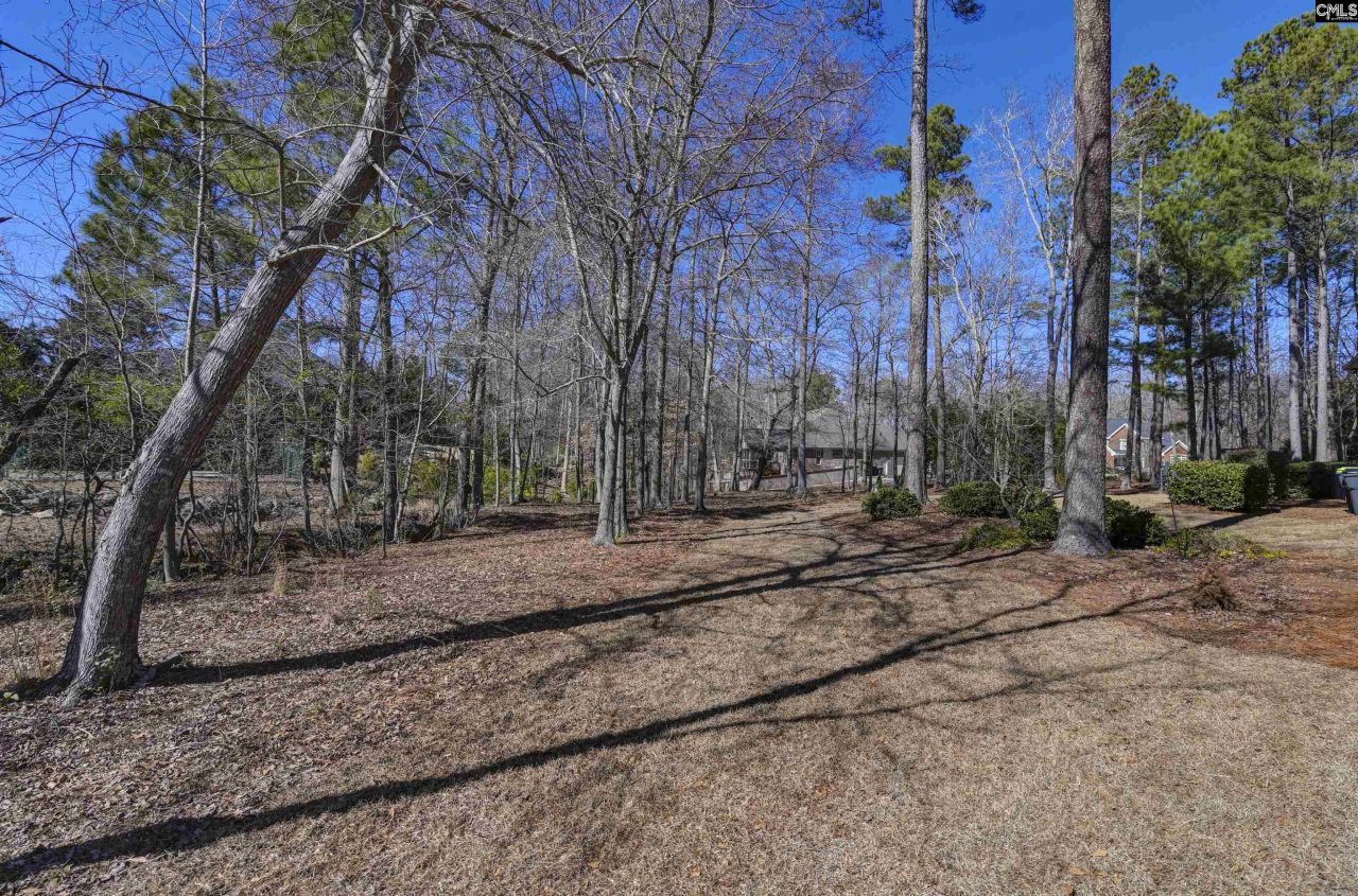 264 Kelsey Glen Drive  Photo 40