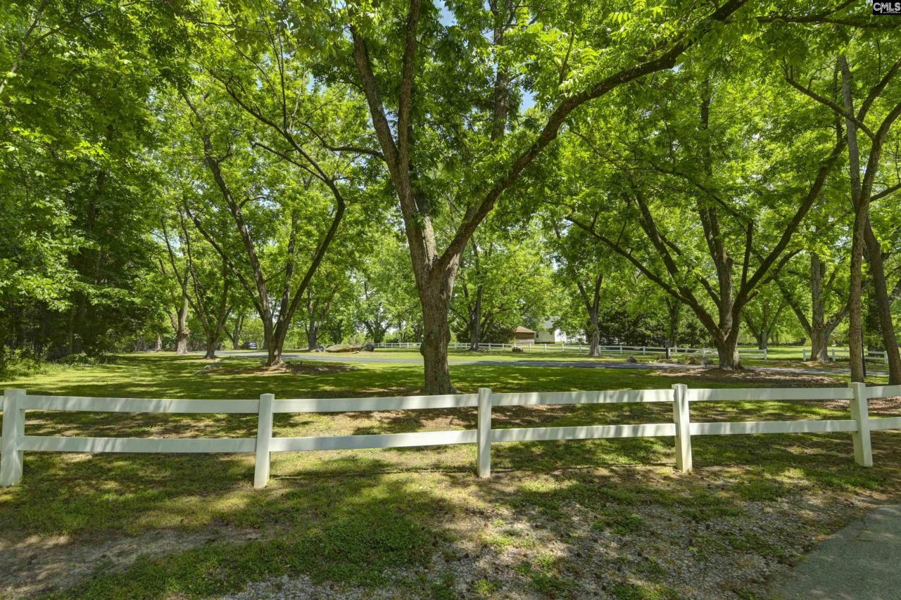 264 Kelsey Glen Drive  Photo 49