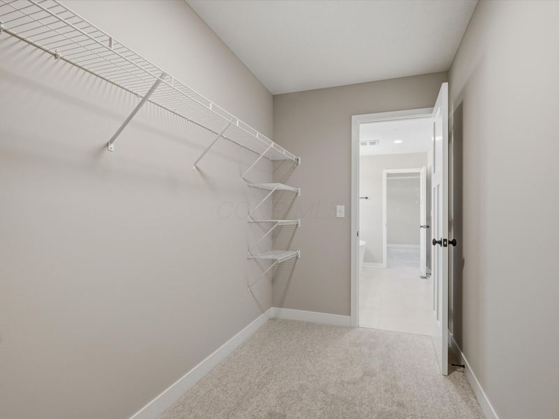 8702 Jenny Road, Plain City, OH 43064 Photo 54