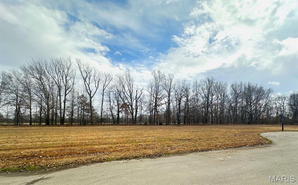 Lot 4 Regent Oak Drive, Dexter, MO 63841 Main Photo
