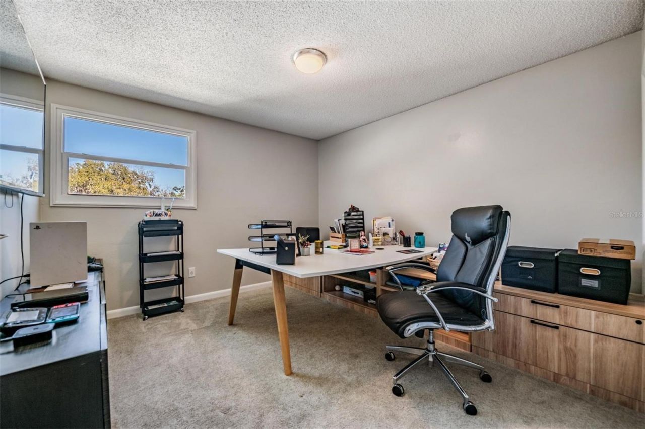 18200 Cypress Cove Lane, Lutz, FL 33549 Photo