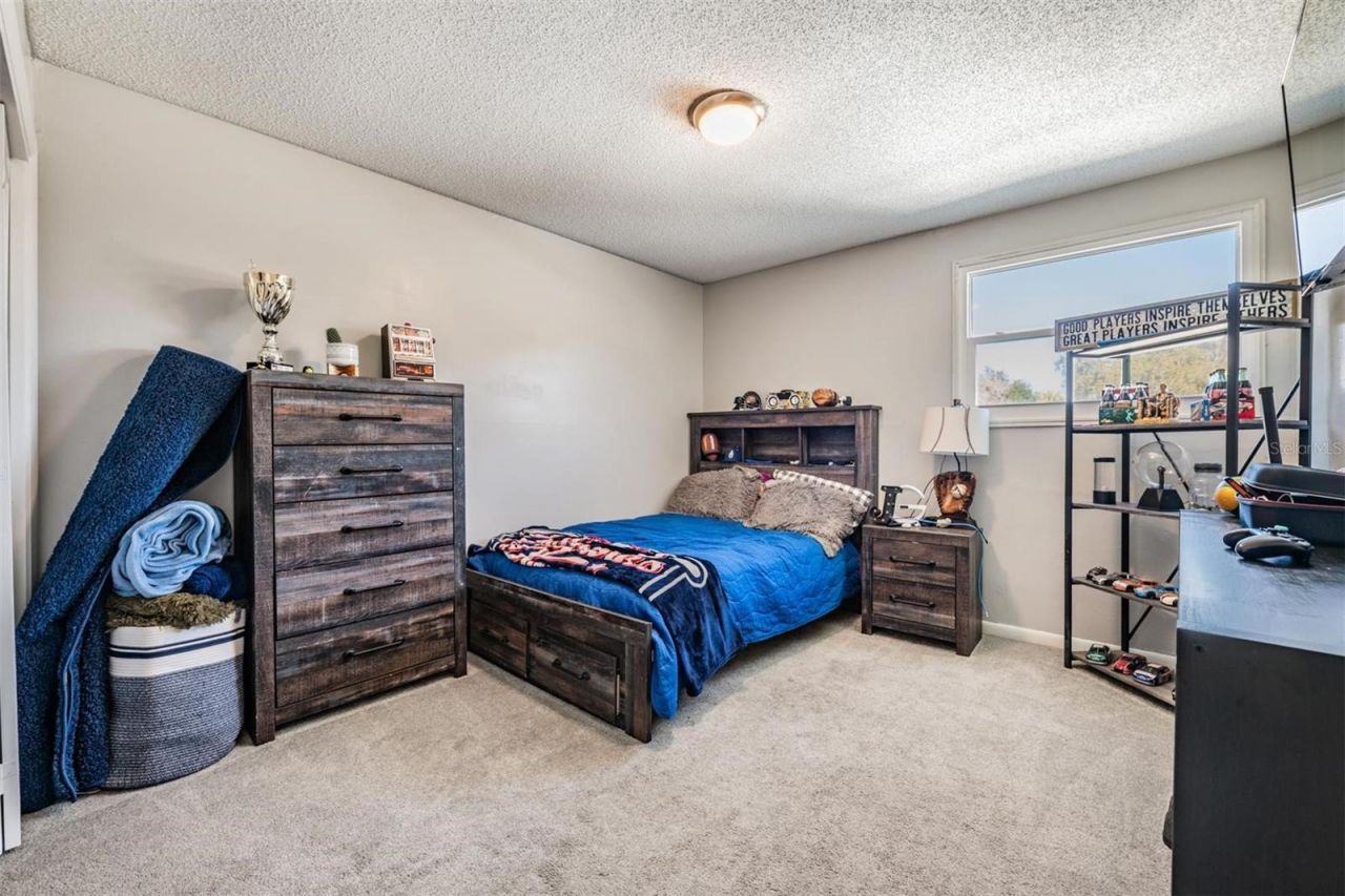 18200 Cypress Cove Lane, Lutz, FL 33549 Photo