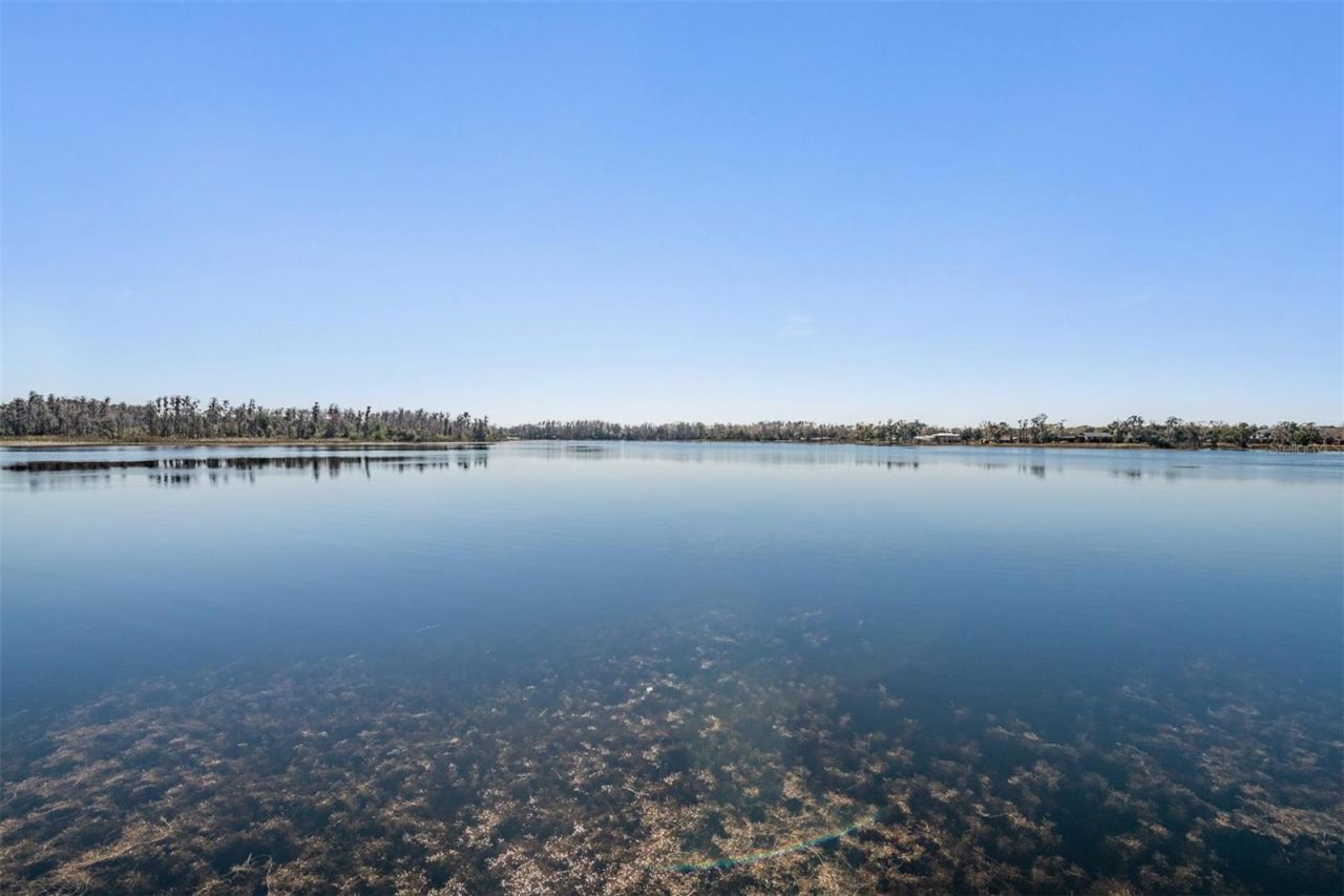 18200 Cypress Cove Lane, Lutz, FL 33549 Photo