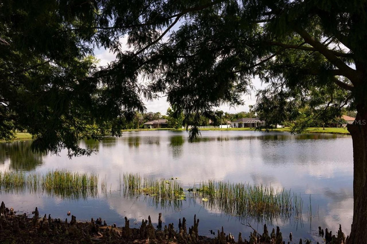 15231 Eastlyn Drive, Bradenton, FL 34212 Photo