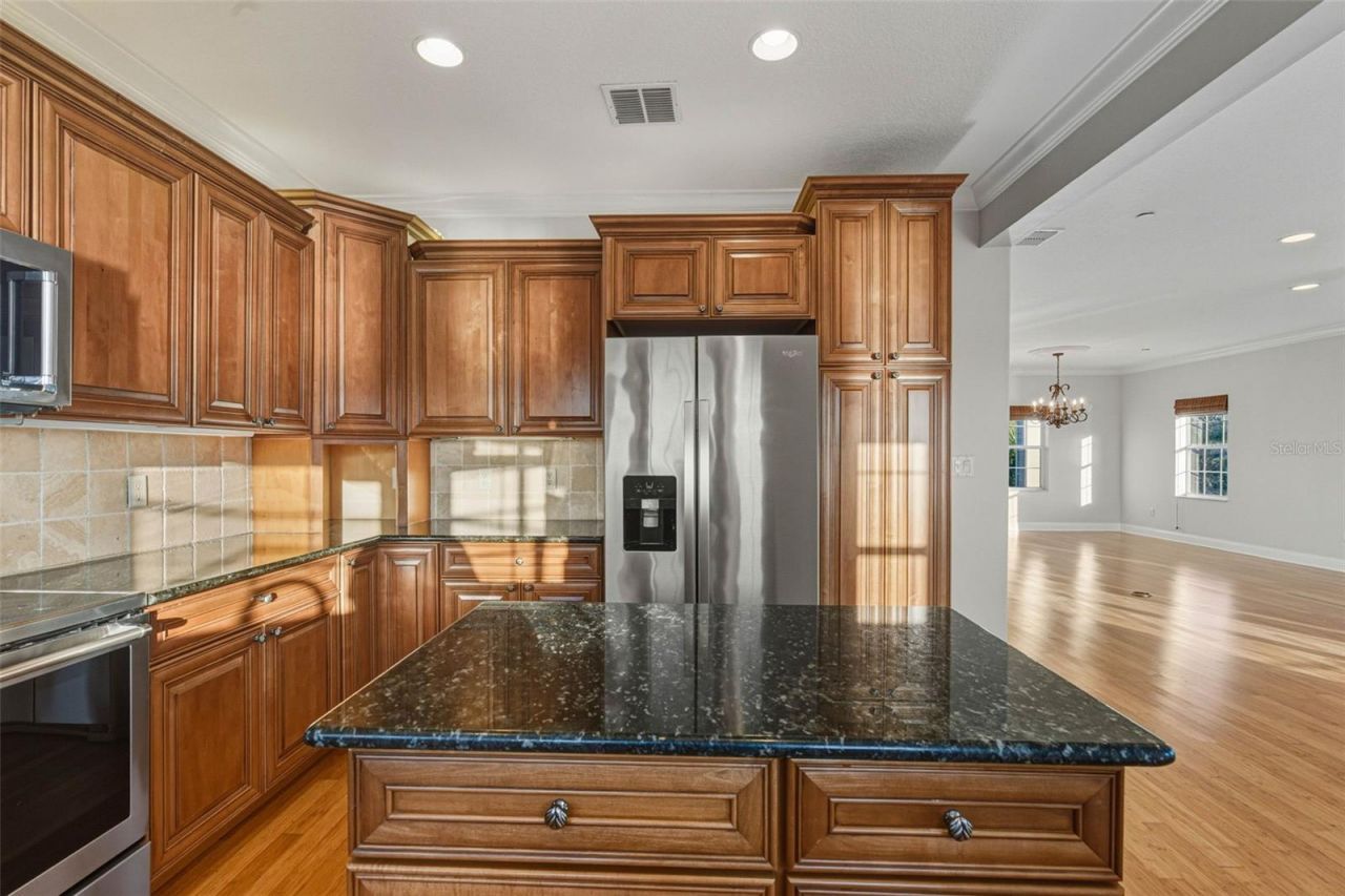 1726 Sunkissed Drive, Tarpon Springs, FL 34689 Photo