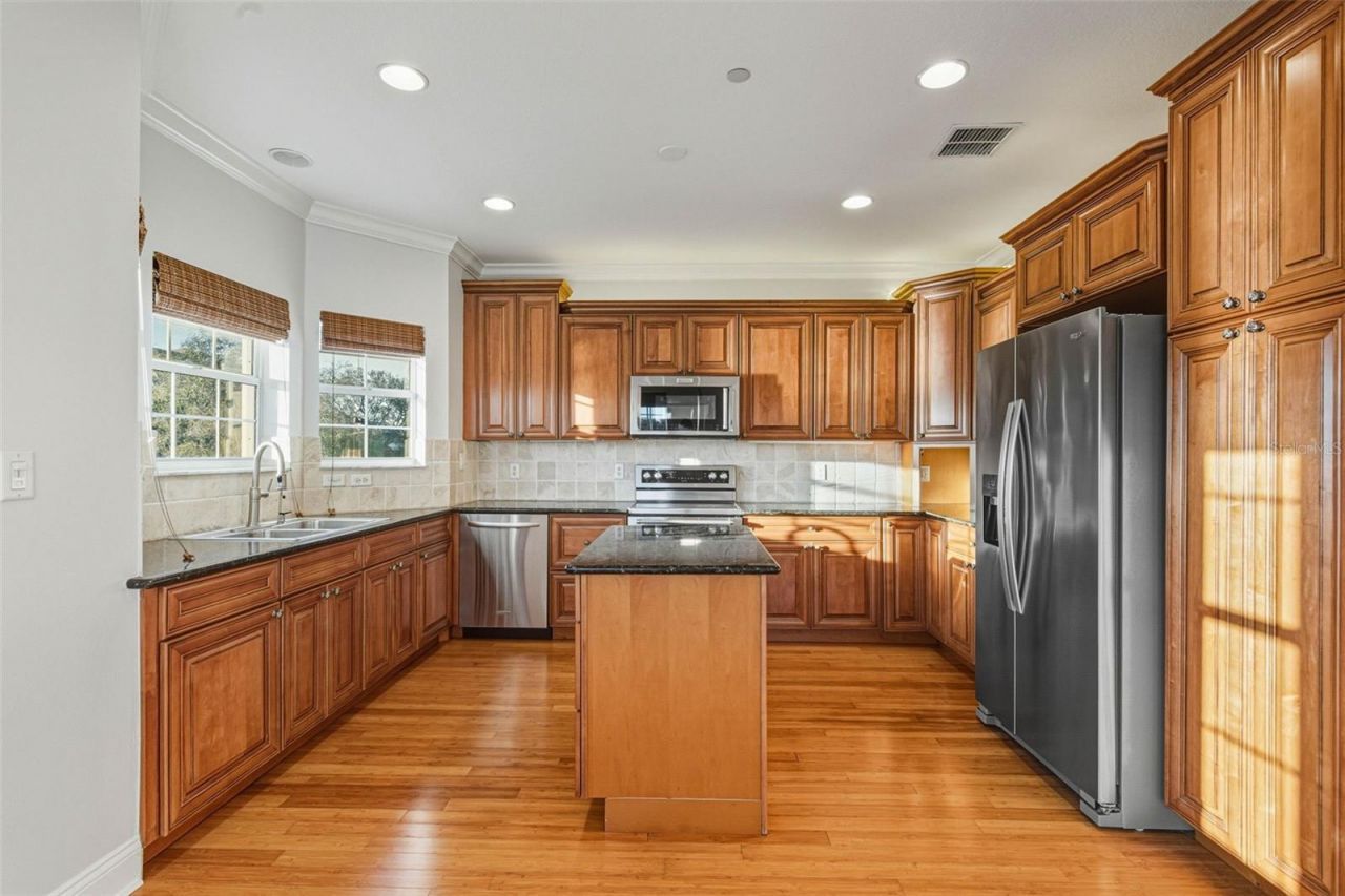 1726 Sunkissed Drive, Tarpon Springs, FL 34689 Photo