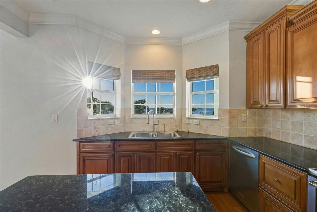 1726 Sunkissed Drive, Tarpon Springs, FL 34689 Photo