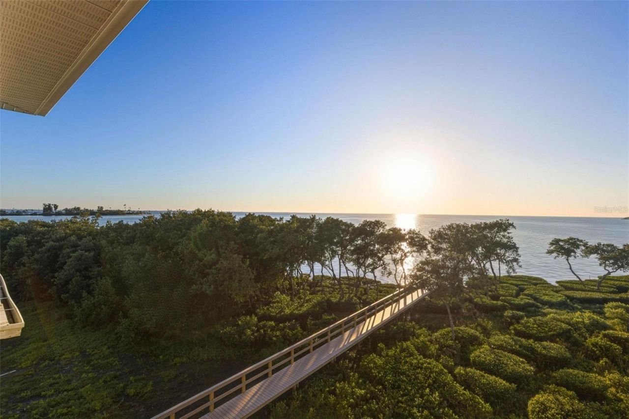 1726 Sunkissed Drive, Tarpon Springs, FL 34689 Photo