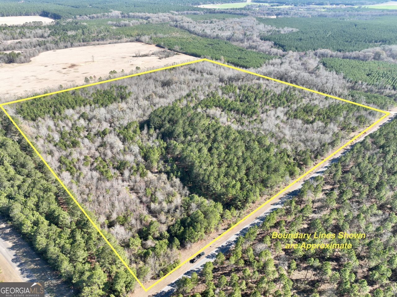 0 Shady Grove Road, Abbeville, GA 31001 Main Photo