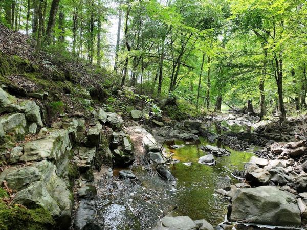 TBD EBENEZER Road, Amity, AR 71921