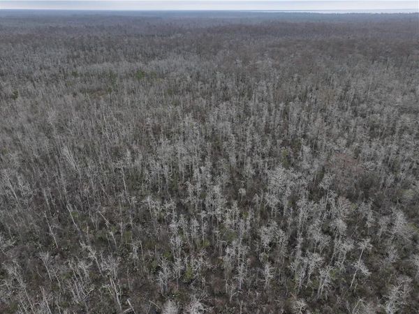 0 LOWER ROME Road, Springfield, LA 70462