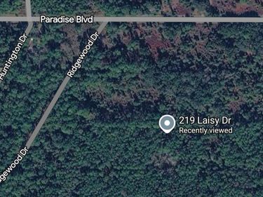 219 Laisy Dr, Georgetown, FL 32139