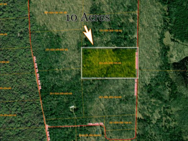 V/L N10 AC Barberry Drive, Wolverine, MI 49799