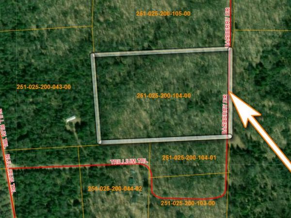 V/L S10AC Barberry Drive, Wolverine, MI 49799