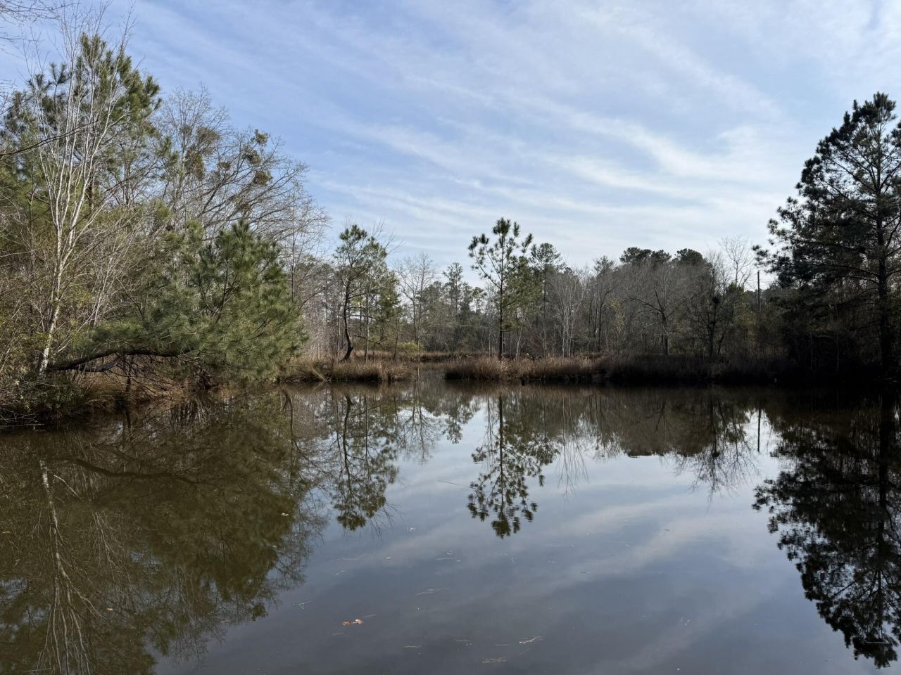 5191 Savannah Highway Photo 1