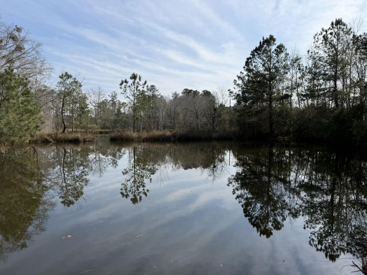 5191 Savannah Highway Photo 2