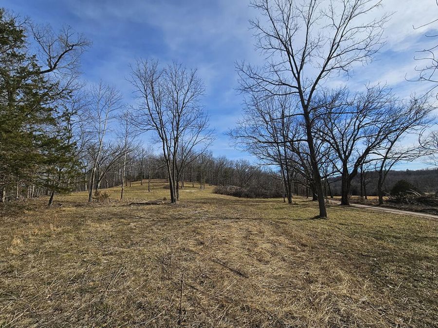 Property Image 61