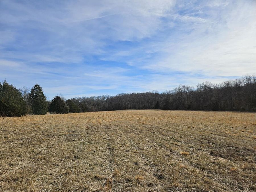 Property Image 63