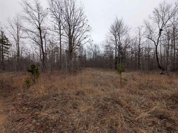 10648 Sydney Lane, Birch Tree, MO 65438