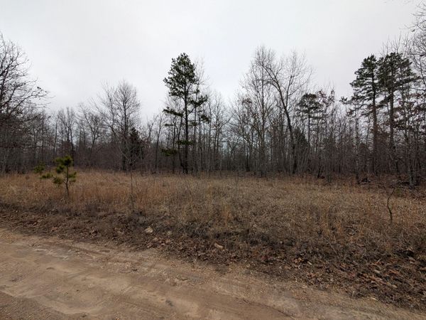 10648 Sydney Lane, Birch Tree, MO 65438
