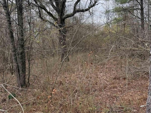 1673 N 167 Highway, Bradford, AR 72020