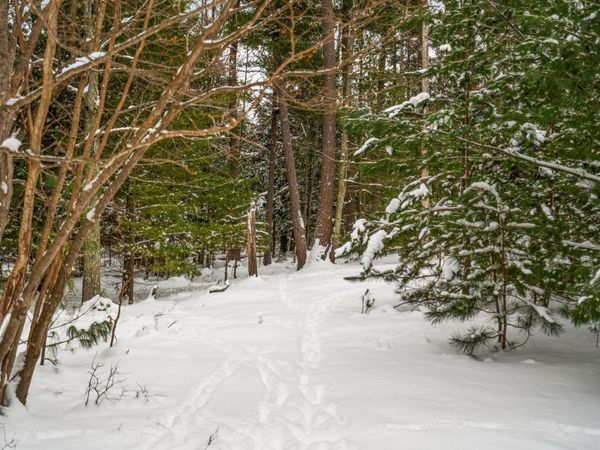 Business Park Drive, Traverse City, MI 49686