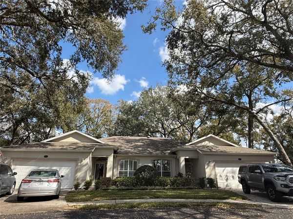 8633 ALEXANDRA ARBOR LANE, TEMPLE TERRACE, FL 33637