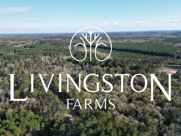 Lot 1 Livingston Farms Lane, Livingston, LA 70754