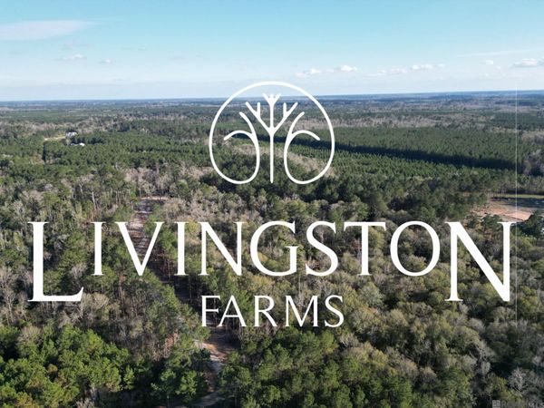 Lot 5 Livingston Farms Lane, Livingston, LA 70754