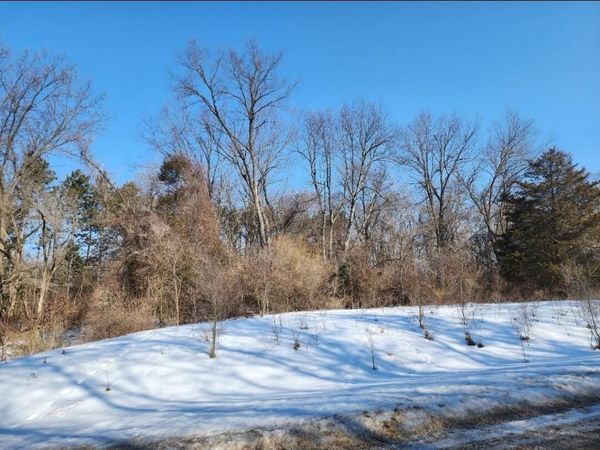 Shorewood Drive, Unit Lot 2, Three Rivers, MI 49093