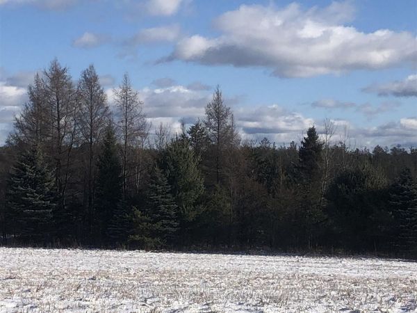 M-72, Kalkaska, MI 49646