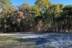 824 Anders Drive  photo 4