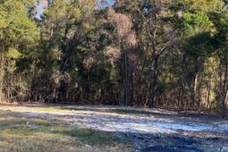 824 Anders Drive  photo 4