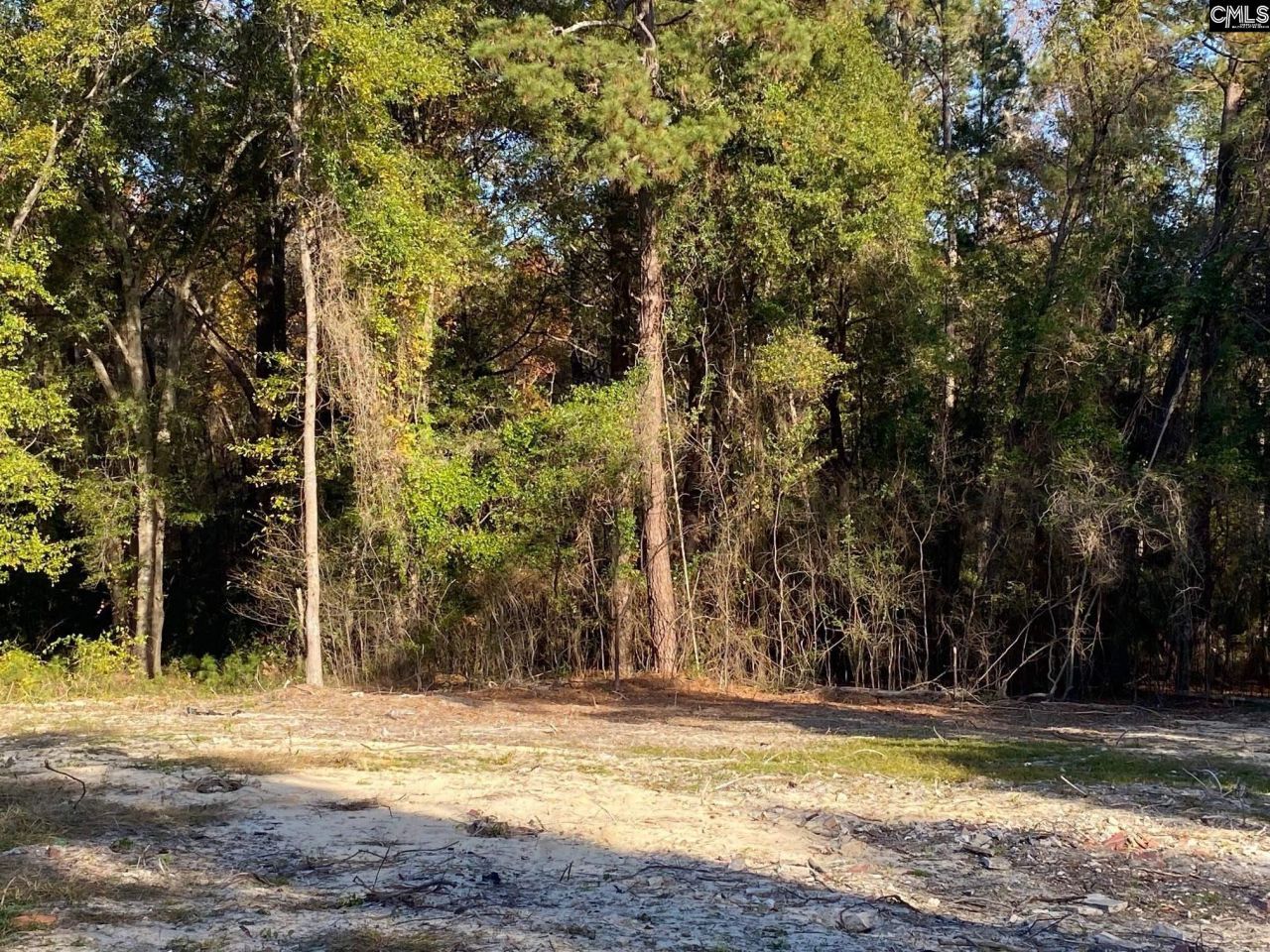 824 Anders Drive  Photo 4