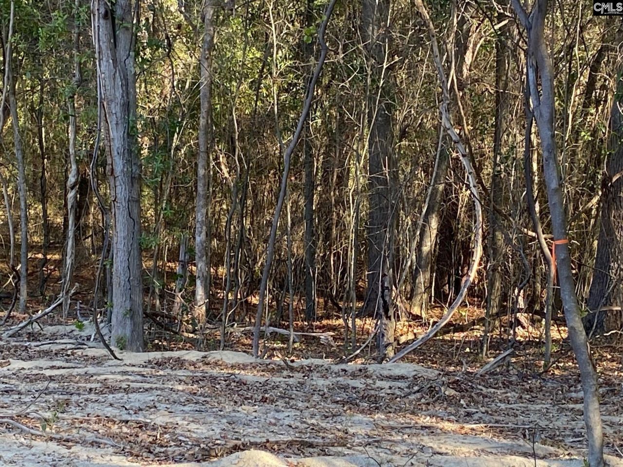 824 Anders Drive  Photo 5