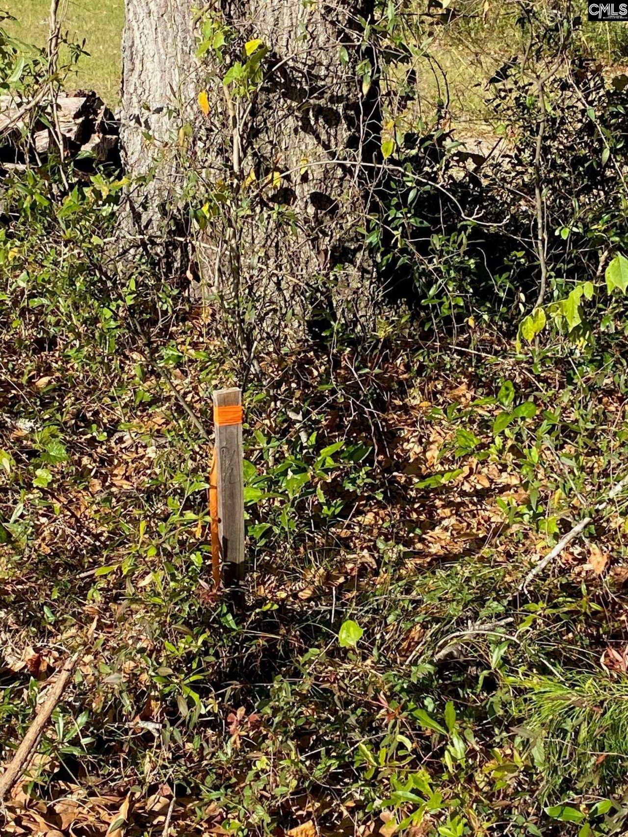 824 Anders Drive  Photo 6