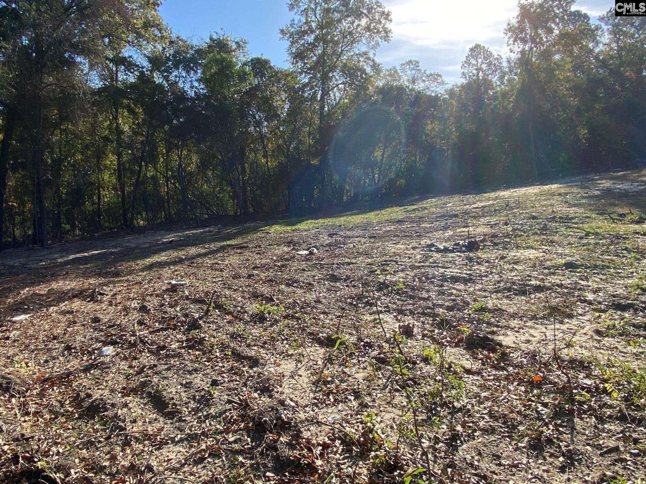 824 Anders Drive  Photo 7