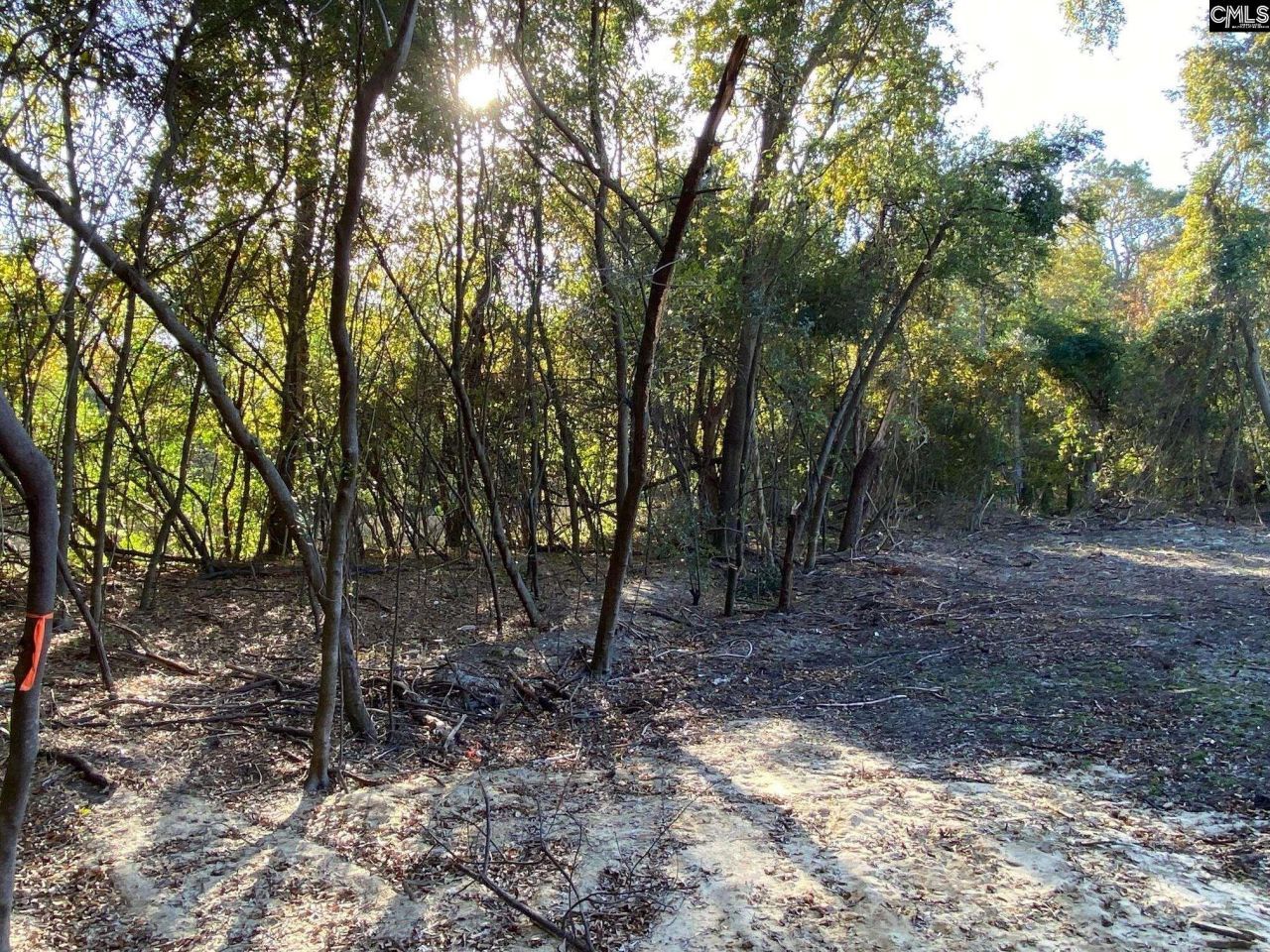 824 Anders Drive  Photo 9