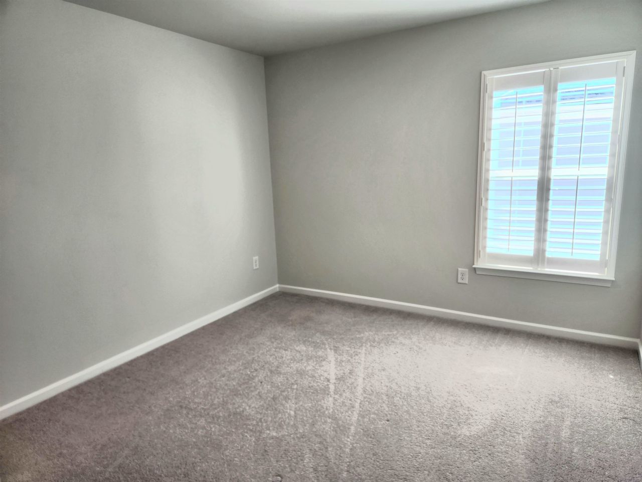 5788 Whitebark Dr. Photo 49