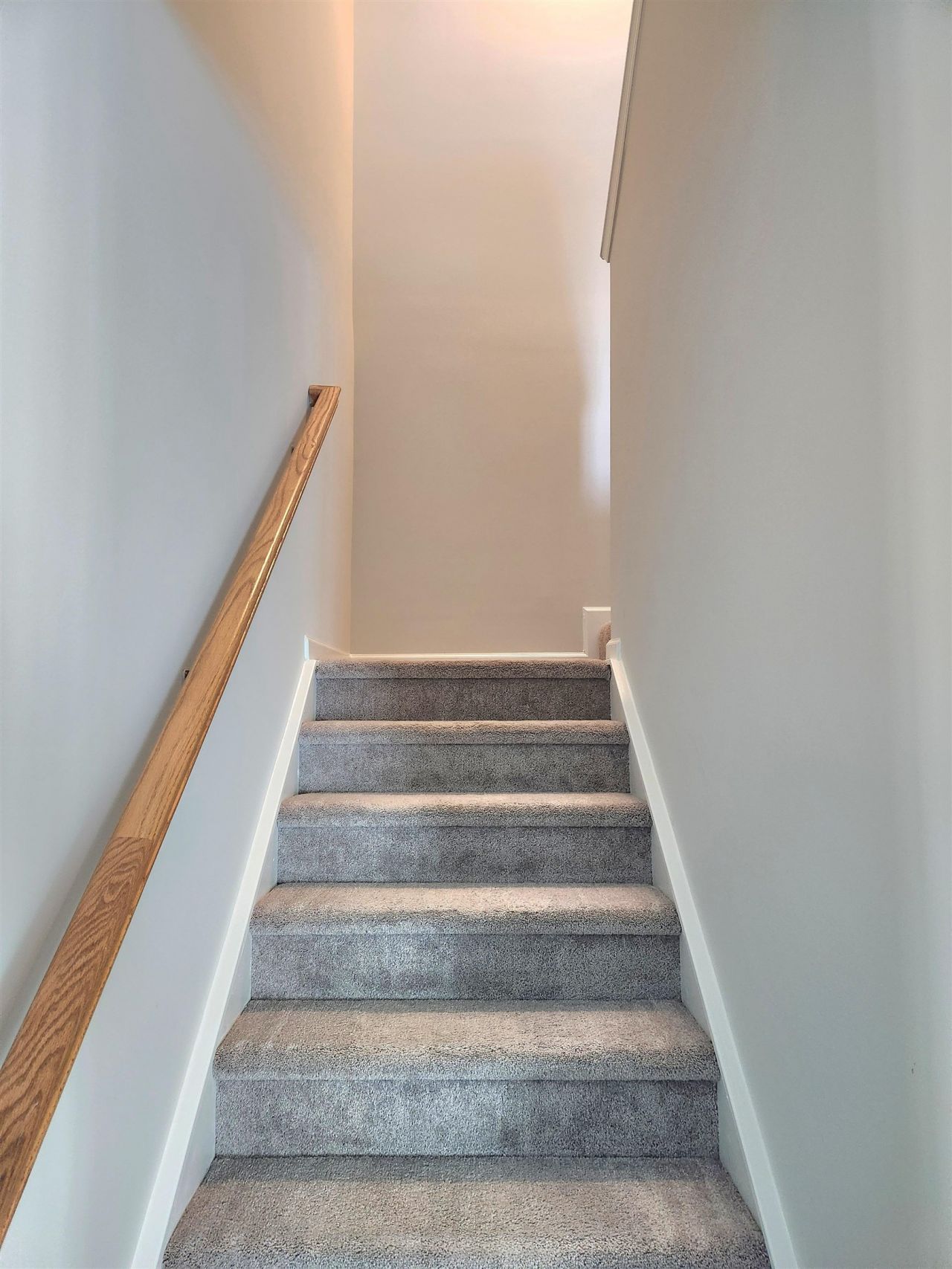 5788 Whitebark Dr. Photo 49
