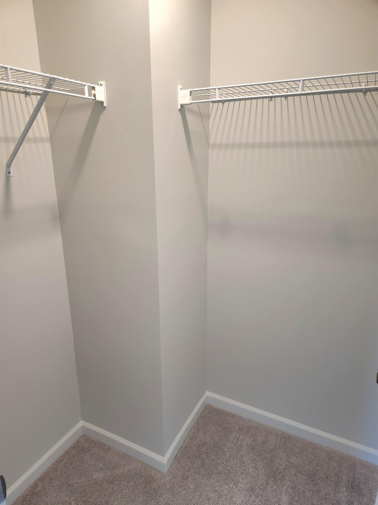 5788 Whitebark Dr. Photo 51